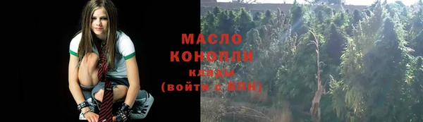 СК Вяземский